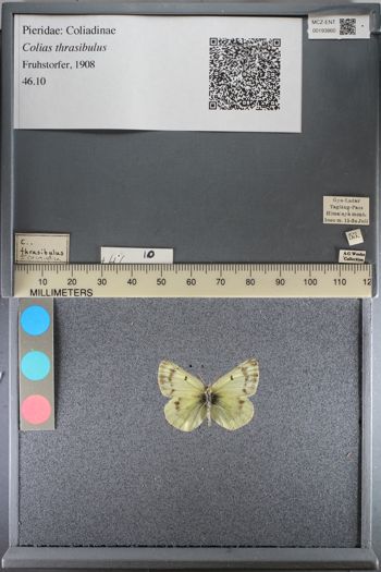 Media type: image;   Entomology 193860